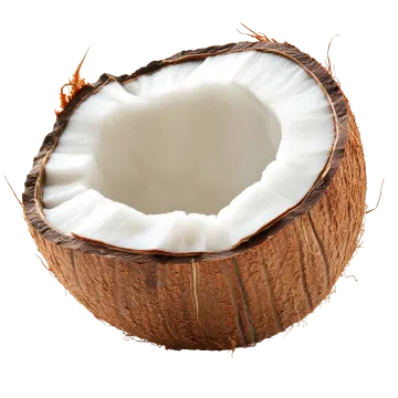 a half of a coconut on a white background