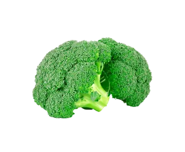 a close up of a piece of broccole