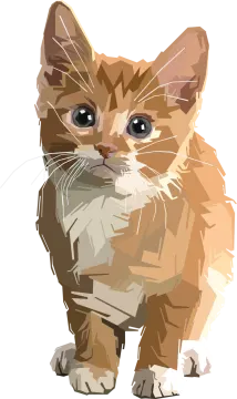 a drawing of a cat on a white background