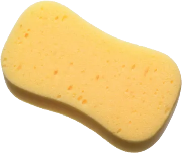 a sponge on a white background