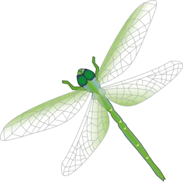 a green dragon on a white background