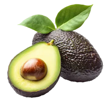 an avoca with a green leaf on top