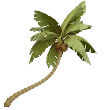 a palm tree on a white background