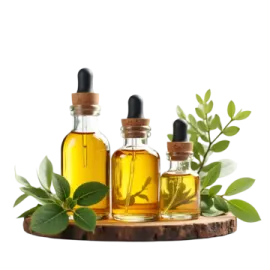 a bottle of olive oil and some leaves