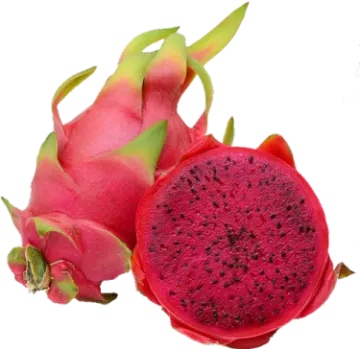 dragon fruit on a white background