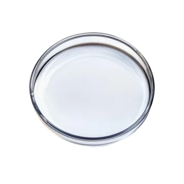 an empty glass plate on a white background