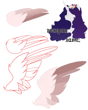 a drawing of two different types of wings