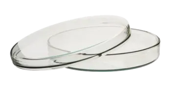 a pair of clear glass plates
