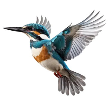 a blue and white bird with its wings spread
