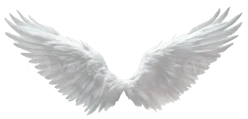 a pair of white wings on a white background