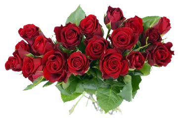 a bunch of red roses in a vase