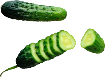 a couple of cus cut in half on a white background