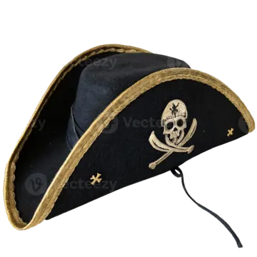 a pirate hat on a white background