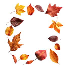 a circle made up of autumn leaves