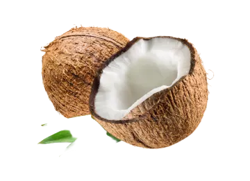 a coconut with a green leaf on it