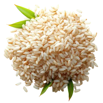 a pile of rice on a white background