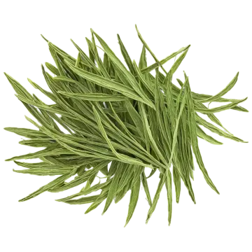 a bunch of green tea leaves