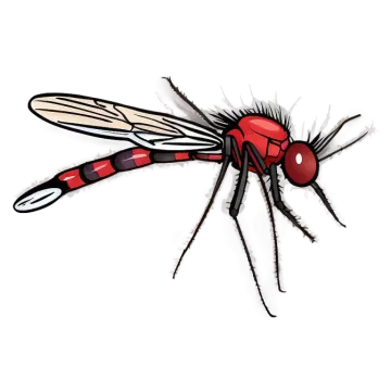 a drawing of a fly insect