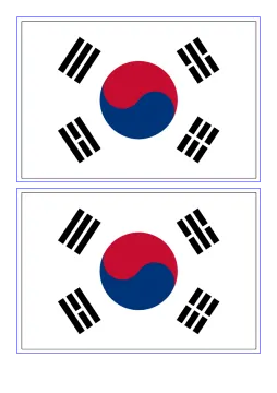 the flag of south and north korea