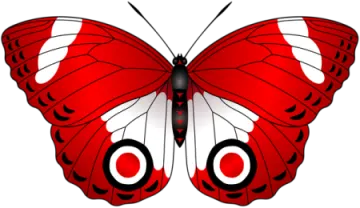 a red butterfly with white and black wings