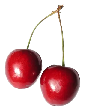 two chers on a white background