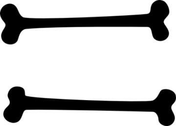 three bones on a white background