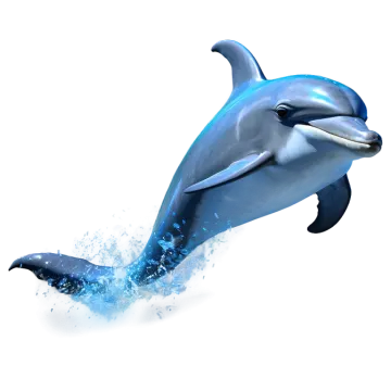 a dolphin jumping out of the water