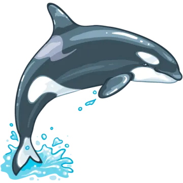 a dolphin jumping out of the water