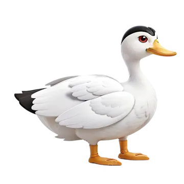 a white and black duck with orange feet
