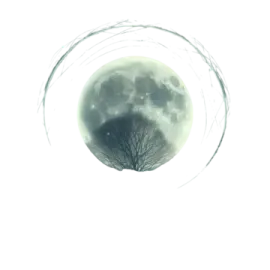 an image of a tree with the moon behind it