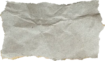 a piece of paper that has been torn