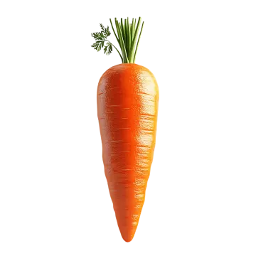 the carrot is orange