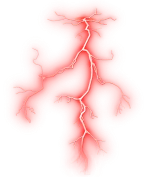an image of the branches of a tree