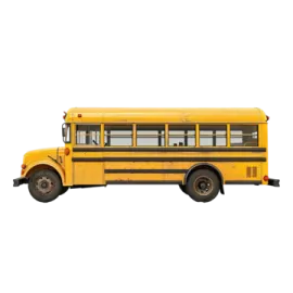 a yellow school bus on a white background