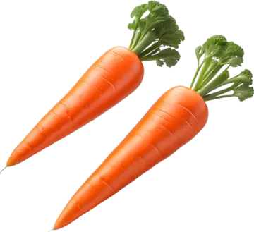 two carrots on a white background