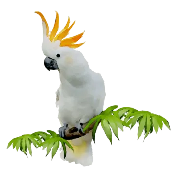 a white parrot sitting on top of a tree branch