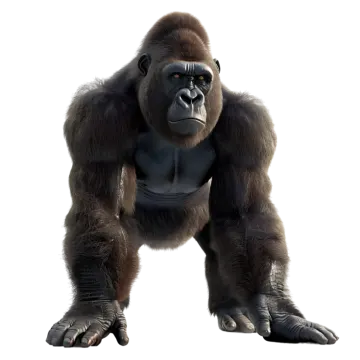 a gorilla standing in front of a white background