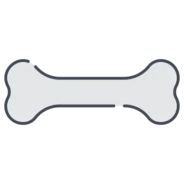 A bone on a white background