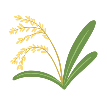 an illustration of a plant with green leaves