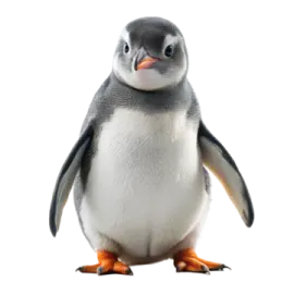 a small penguin standing up against a white background