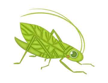 a green grasshopper on a white background