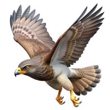 the bird is flying