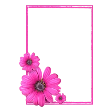 a frame with pink flowers on it