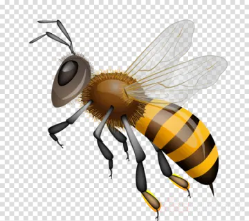 a bee on a transparent background
