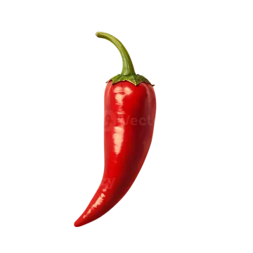 a red hot pepper on a white background