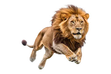 a lion running in the air