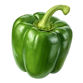 a green pepper on a white background