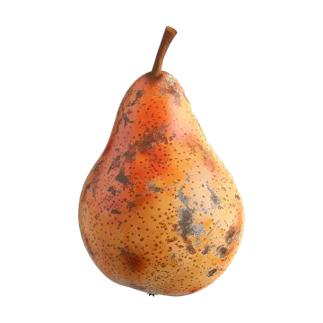 a pear on a white background