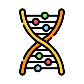 an icon of a dna chromosome