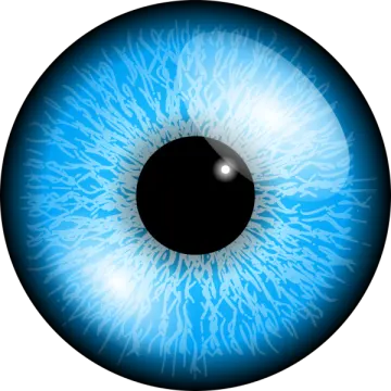 an image of a blue eye